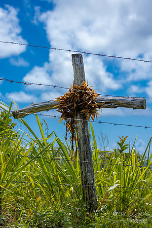 Big Island Hawaii-3996