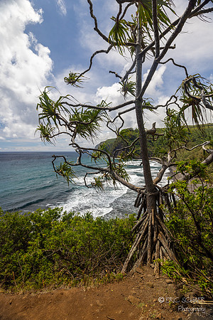 Big Island Hawaii-4047