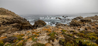 Carmel By The Sea-  California -