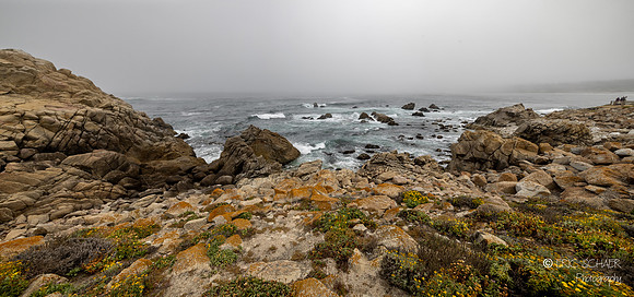 Carmel By The Sea-  California -