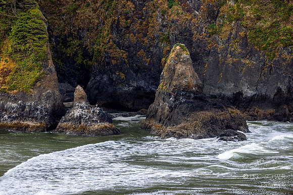 Image looking south from Heceta Lighthouse- Oregon Coast