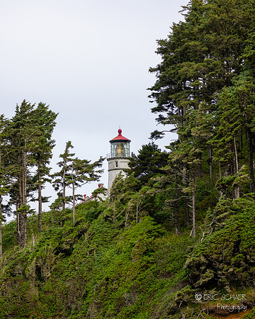 Heceta Lighthouse- Oregon Coast-4574