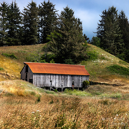 Old Building-Centerville Road,  Fernale California -
