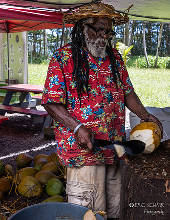 Big Island Hawaii-4217