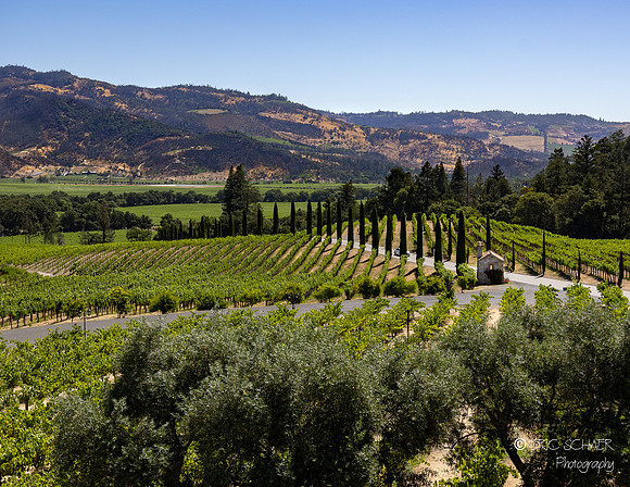 Castello di Amorosa, Castle Winery- Napa Valley California (1 of 1)