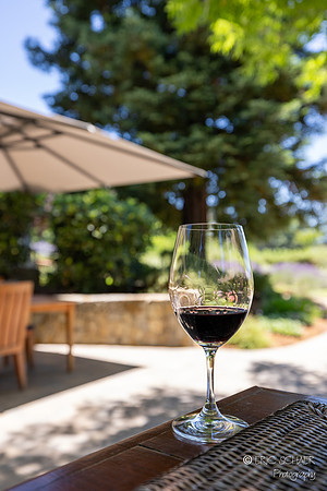 Duckhorn Vineyards- Helena Napa Valley California-4948