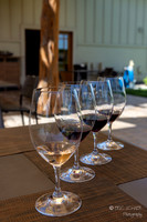 Saviah Cellars- Walla Walla Washington-2241