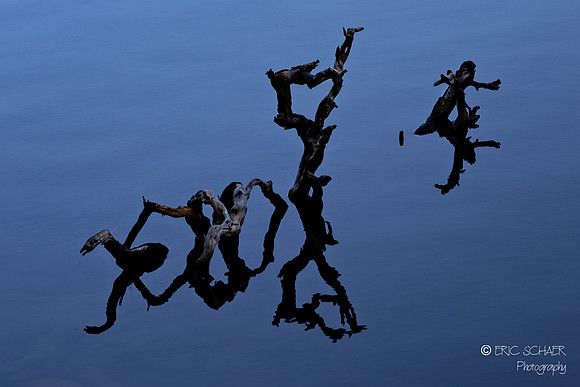 Lake Siskiyou Abstract- Mount Shasta California-
