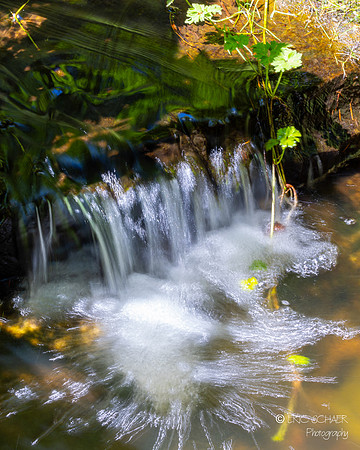 Pond- Eatonville Washington-5962