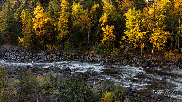 Canon R5: 2023 Oct. Leavenworth Workshop