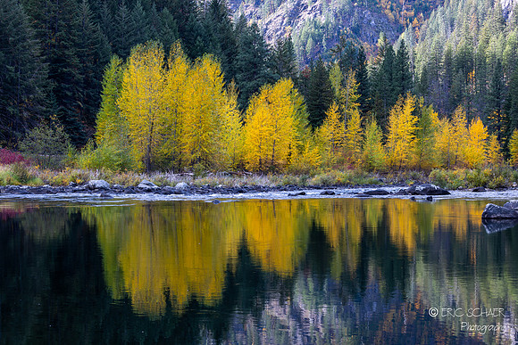 Canon R5: 2023 Oct. Leavenworth Workshop