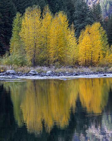 Canon R5: 2023 Oct. Leavenworth Workshop