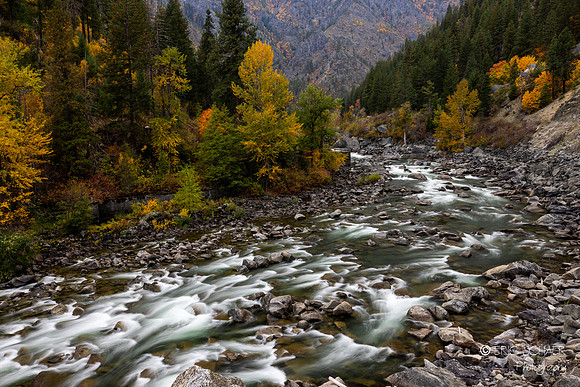 Canon R5: 2023 Oct. Leavenworth Workshop