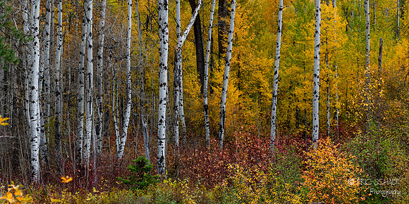 Leavenworth- Canon 5DIV-