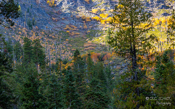Leavenworth- Canon R5--7