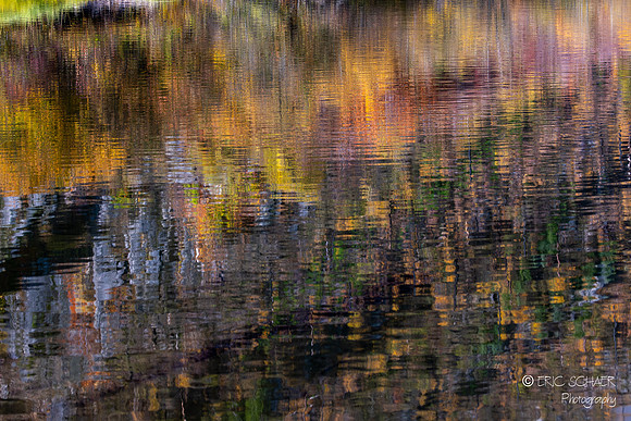 Leavenworth- Canon R5--11