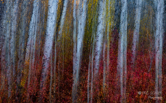 Leavenworth- Canon R5--10