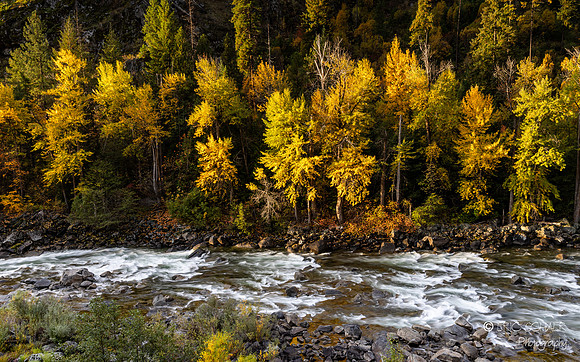 Leavenworth- Canon R5-7789
