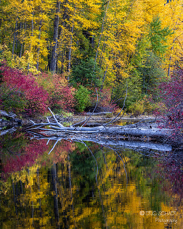 Leavenworth- Canon R5-8028
