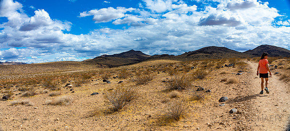 Nevada-Petroglyph Trail 2