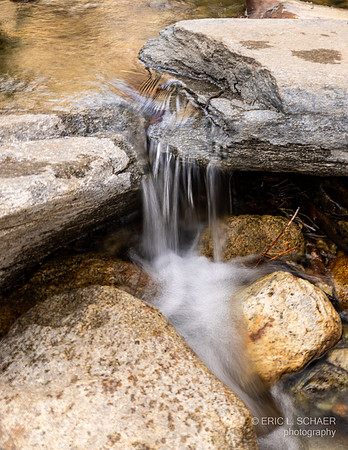 January, Murray Creek, Murray Canyon Trail,  Palm Springs Calif.