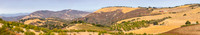 2021, California, Central Coast, Horizontal, Manucci Winery View, Panorama, Paso Robles, Vista, Wild Coyote Winery
