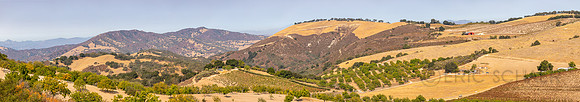 2021, California, Central Coast, Horizontal, Manucci Winery View, Panorama, Paso Robles, Vista, Wild Coyote Winery
