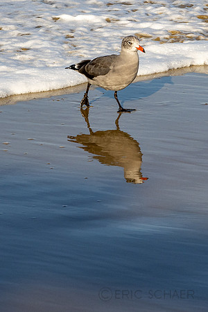 California- Pismo Beach (2)