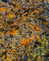 Snoquamie River: Snoqualmie Washington