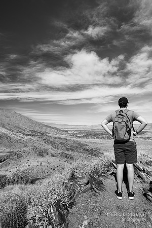 January, Murray Canyon Trail,  Palm Springs Calif.