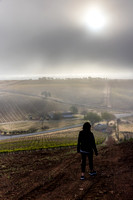 Manucci / Wild Coyote Winery