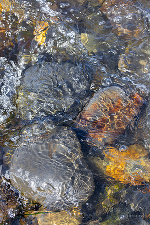 Creek Detail- Wade Creek Beach, Newport Oregon