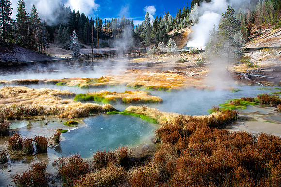 2020, Geyser, "Hayden Valley", "Mud Volcano", September, Water, Wyoming, Yellowstone, hot