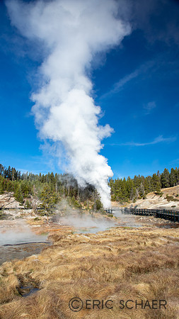 2020, "Dragons Mouth Spring", Geyser, "Hayden Valley", "Mud Volcano", September, Water, Wyoming, Yellowstone, hot
