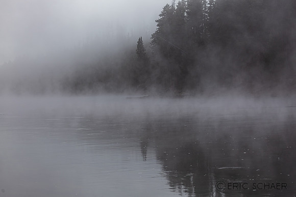 2020, Fog, "Hayden Valley", Morning, September, Wyoming, Yellowstone, "Yellowstone River"