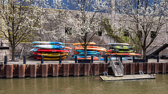 Chicago River North Branch- Colorful Boats
