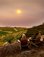 2021, Adirondack Chairs, California, Central Coast, Manucci Winery, Paso Robles, Sun, vinyard, Wild Coyote Winery, Winery