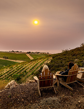 2021, Adirondack Chairs, California, Central Coast, Manucci Winery, Paso Robles, Sun, vinyard, Wild Coyote Winery, Winery