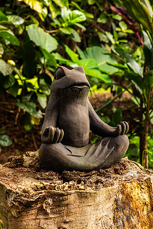 Frog statue- Kilauea Kauai- Real Noni Fruit Farm