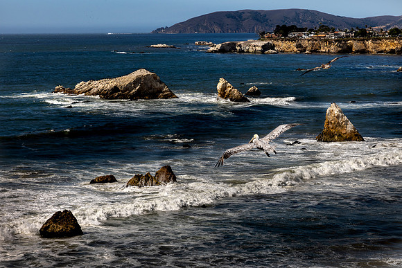 California- Pismo Beach 1