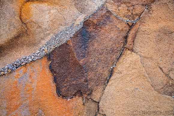 Nevada- Petroglyph Trail