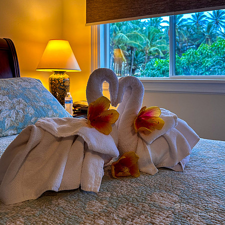 I-Phone: Interior Fern Grotto Inn Kapaa Town Kauai Hawaii