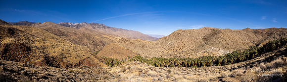 January- Palm Canyon outside Palm Springs Calif: Agua Caliente, Cahuilla Indian Reservation