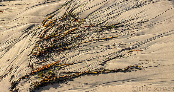 California- Pismo Beach 1
