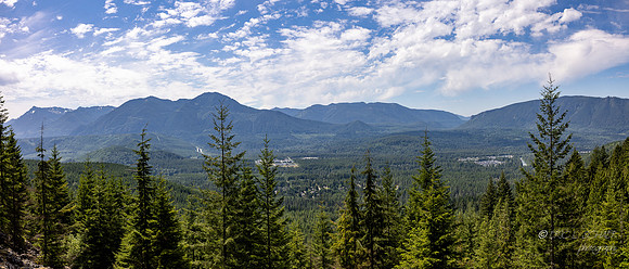 Forest View toward North Bend