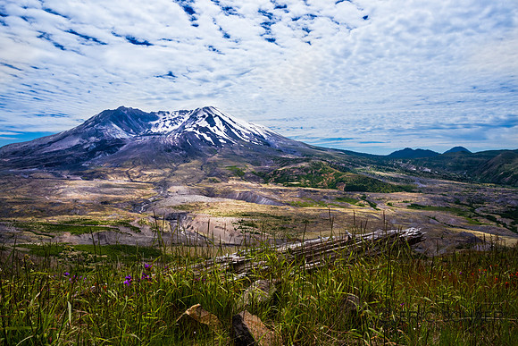 Devistation Path-Mount Saint Helens WA