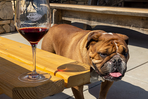2021, Bently, California, Central Coast, Paso Robles, Whalebone Vineyard, Wine, Wine Glass