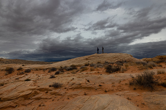 Nevada- Valley of Fire Landscape 8