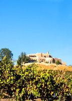2021, California, Central Coast, Manucci Winery, Paso Robles, Wild Coyote Winery