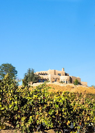 2021, California, Central Coast, Manucci Winery, Paso Robles, Wild Coyote Winery